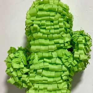 Cactus Pinata Plain